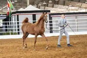 ddd0930b779d3b010e6d1183b88343a0f25884629e475ac42d39c4cc993dcb10.jpg