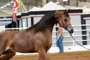 82d98fd4b82e3a9c6d64ef50d07378217fabeb08ab0317add68e9b31d7691b48.jpg