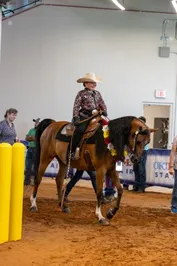 44ffa21985ae1a87161d3513f07740666b2195f0b8822384c80404aae1ed24c2.jpg