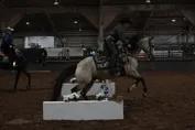 e33f95d5f599890cf46f75198d66c391ba884cfc4076134c3f20b88412c075d2.jpg