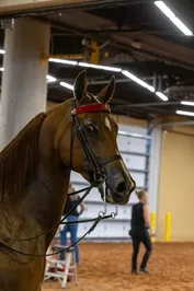 077ff860a9f19fd8dfd46a669f6b1dda2ad0ea31ea437c3b485d017aa10dba9c.jpg