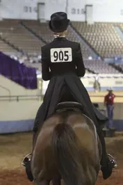 f1233c96461ba7e0b60ec41753ab8e0e43737221c277d8cd4291f3e7ae8d82a7_1_IzAwMDgwMF8xMDA=.JPG