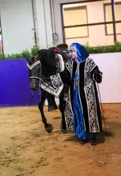 597c77cf2dd74b0e2406091d6b7e57c3c6102aa603fb4e71780d447faa8f2393_1_IzAwMDgwMF8xMDA=.jpg