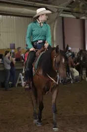 d21e0920e763049d95df1c5eb0107262c75949407863cd2d9a44a580115fe6fb_1_IzAwMDgwMF8xMDA=.jpg
