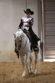 0039880546a244fac4b0361bc9e5d9fb110150123c3face074a98024db3c9752_1_IzAwMDgwMF8xMDA=.jpg