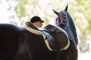 7882794123f43513acea0bb4a7fc14bbefe27a34e8dbce81dfa7de22ac281d70_1_IzAwMDgwMF8xMDA=.jpg