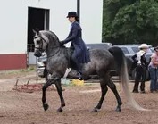 4c6b50bb8e19daaf02acf35a8b296fb8100807dc49cc071101f05cc3dbaf5b06_1_IzAwMDgwMF8xMDA=.JPG