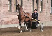 f75ffa8a9989b546bf9be0a1d568c6f1c93cd011f381e91a5d23936559d0a28d_1_IzAwMDgwMF8xMDA=.JPG