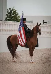 202dc0c8c7973a9e3ae36291b80d1fe411764adaf81a269105fe6f6d8757f1ee_1_IzAwMDgwMF8xMDA=.jpg