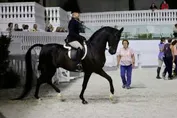 f81c69eb17a4b80887cd111f39a32b146af87962db5c9c4b8cf7fbda7d7db43c_1_IzAwMDgwMF8xMDA=.JPG