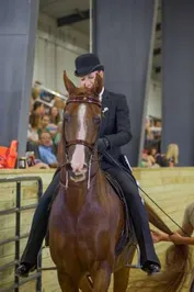 d46517666784ab0a4bcf670138e5c7b8dda094ae59f4b8342d5da656714b2c29_1_IzAwMDgwMF8xMDA=.jpg