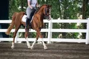 047b33502145b7e9df93d6fd3fbc1c0c03713c3993df4120a1355614692122ea_1_IzAwMDgwMF8xMDA=.jpg