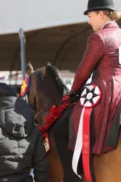 d70c6fd56792aa21b90568f0bbcfca3e7346b4a9dd2fca3c38c6fc19fd23c5c1_1_IzAwMDgwMF8xMDA=.JPG