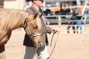8996b16ec9ea604632e75e11ab0387ffbc7c194b10ce5ee6f292c8153f02701f_1_IzAwMDgwMF8xMDA=.JPG