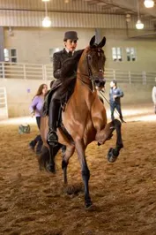 a70d02ad5e1015a137520410793028eec9071e8dc123193a3cb71cb34c958195_1_IzAwMDgwMF8xMDA=.jpg